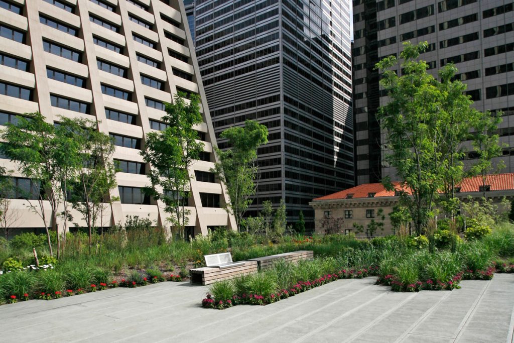 elevated acre