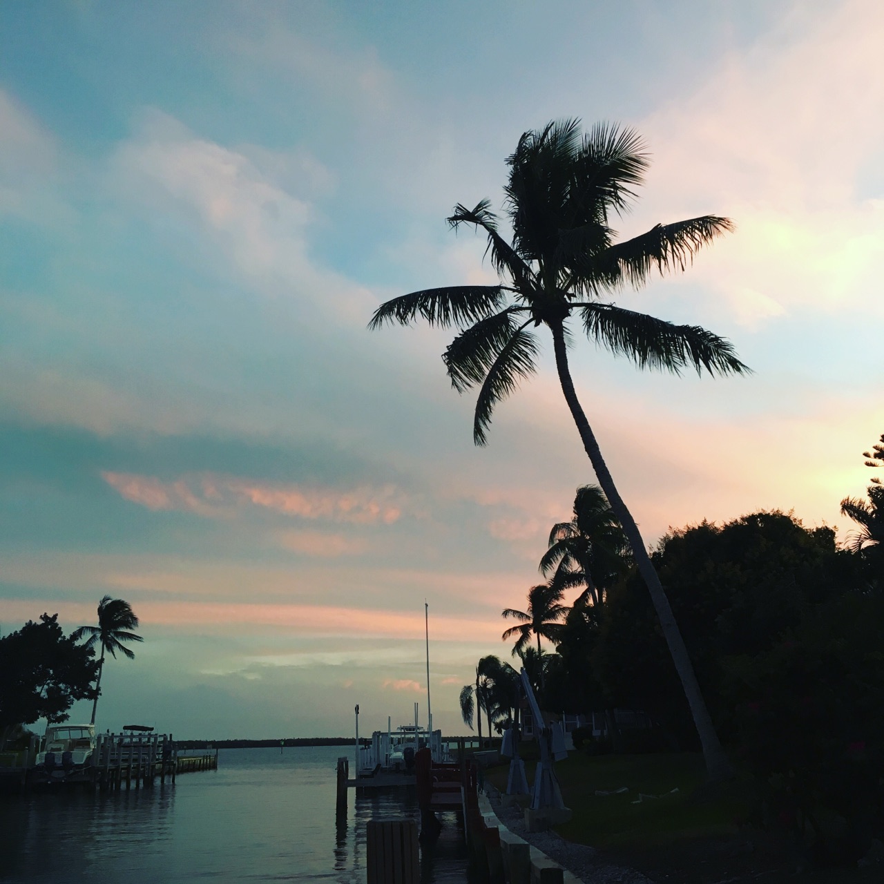 Travel Diary: Something’s Fishy on Marco Island