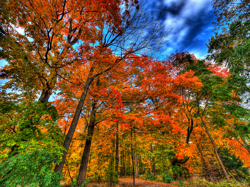 Must Visit Midwest Fall Fun Daycation Road Trips