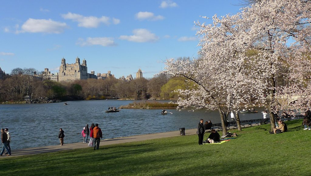 Wispy clouds and blue skies on a fall day in Central Park, Manhattan, New York City