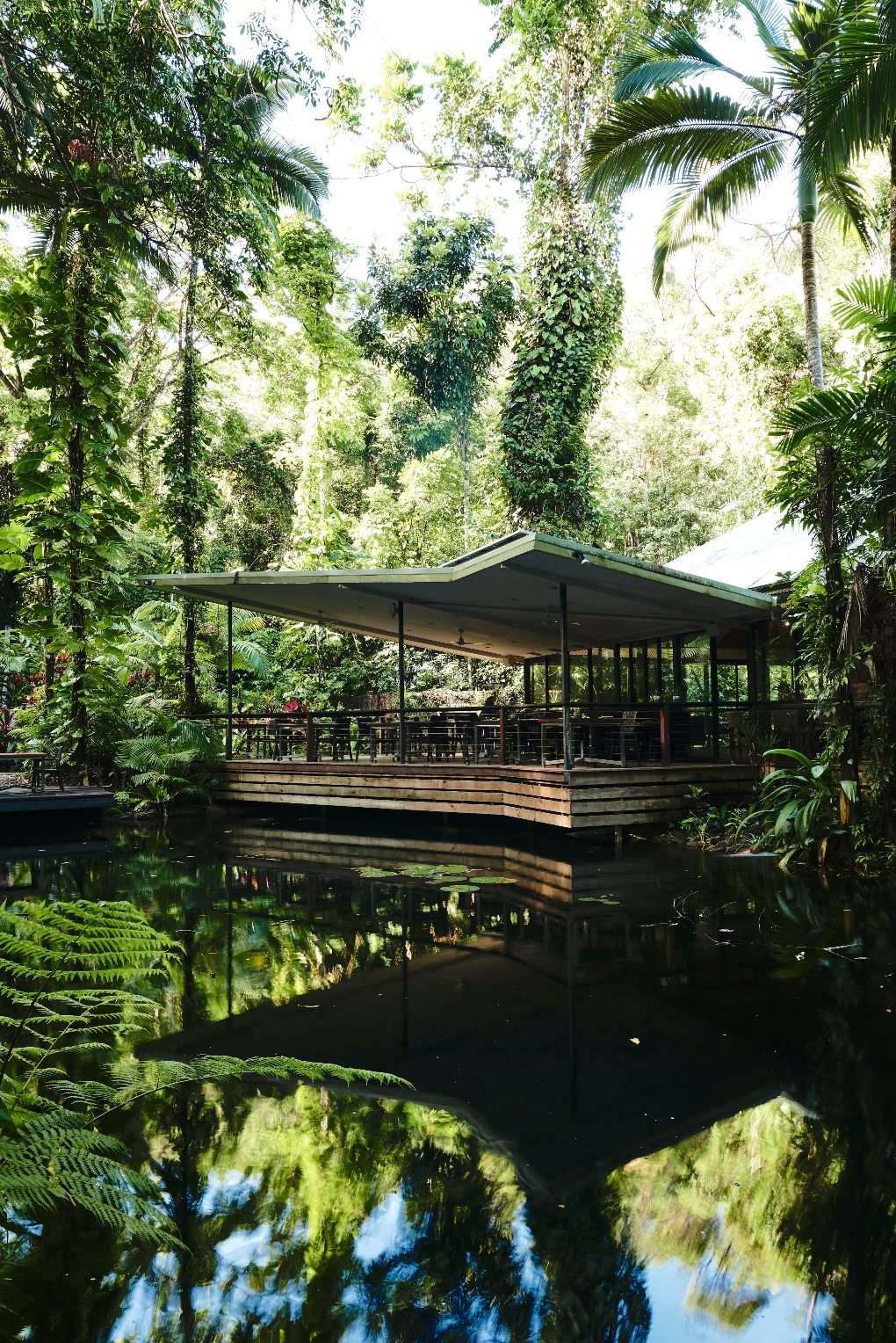 View of pond and outdoor seating area of nice restaurant in rainforest.