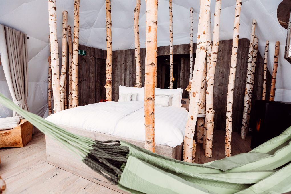 Trees surround white queen bed with green hammock in close view.