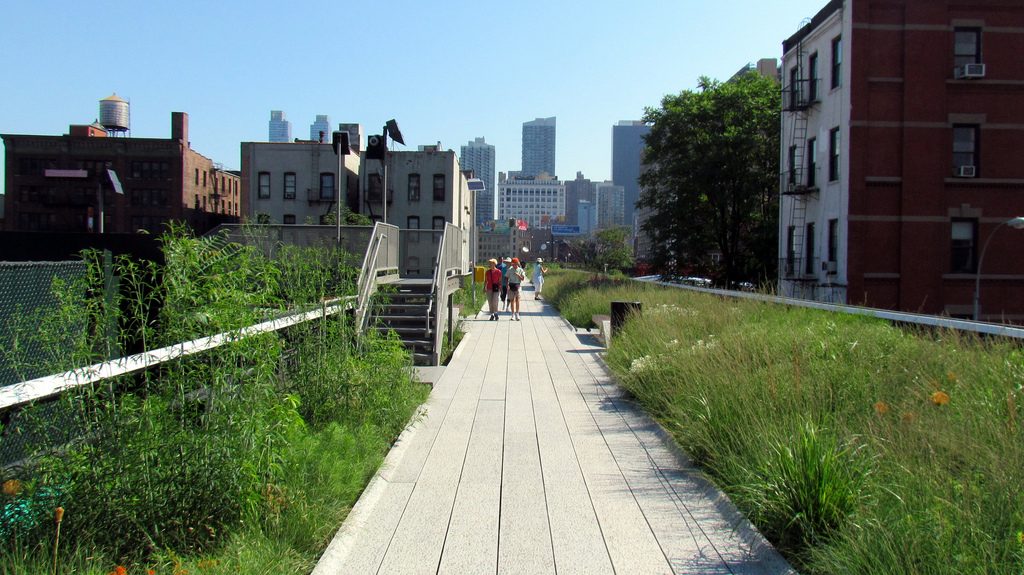 Clear skies and green flora in High Line Park in Manhattan, New York City