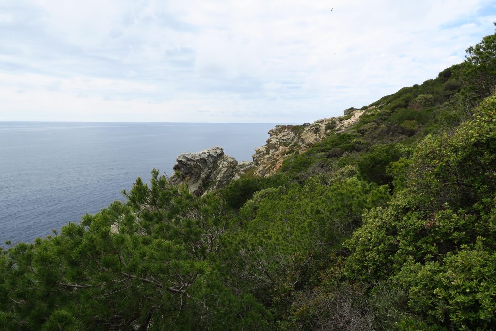 View of water from the green hills and mountains of Porquerolles.