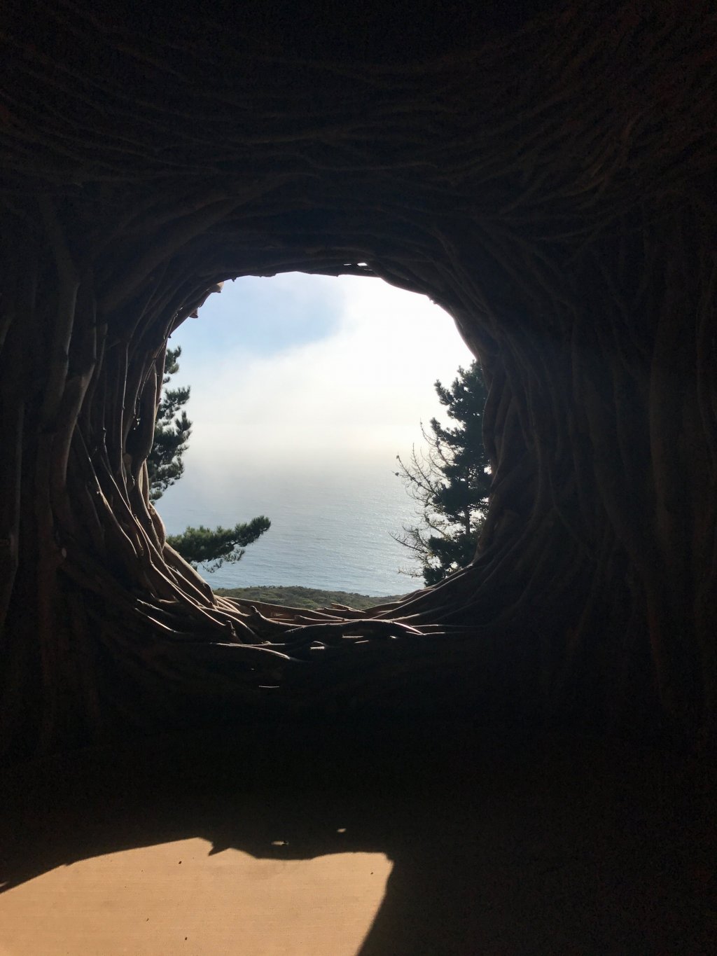 View of Pacific Ocean from a twig hut at Treebones Resort, Big Sur, California.