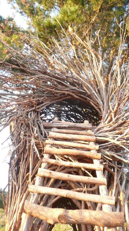 Wooden stairs leading to a lodging nest made of tree branches, fittingly, at Treebones Resort in Big Sur, California.