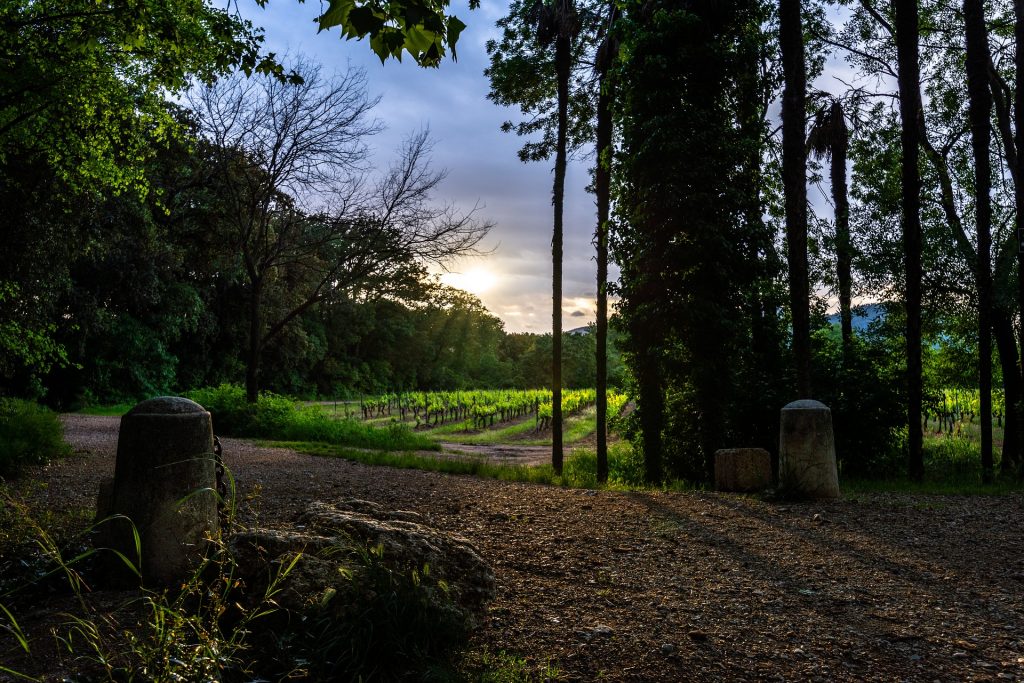 The sun peaking out from dark clouds above the trees overlooking a verdant farm.